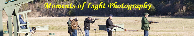 Moments of Light Photography