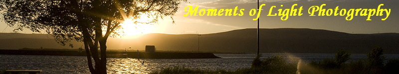 Moments of Light Photography