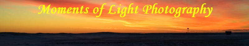 Moments of Light Photography