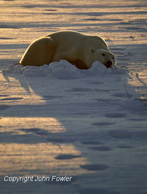 Sunset by Hudson Bay